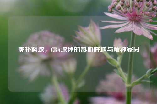 虎扑篮球,CBA球迷的热血阵地与精神家园
