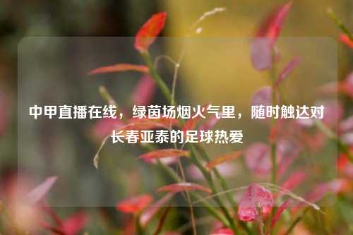 中甲直播在线,绿茵场烟火气里,随时触达对长春亚泰的足球热爱
