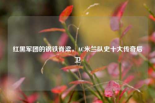 红黑军团的钢铁脊梁,AC米兰队史十大传奇后卫