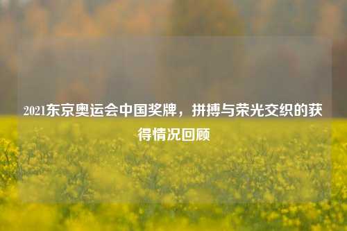2021东京奥运会中国奖牌,拼搏与荣光交织的获得情况回顾