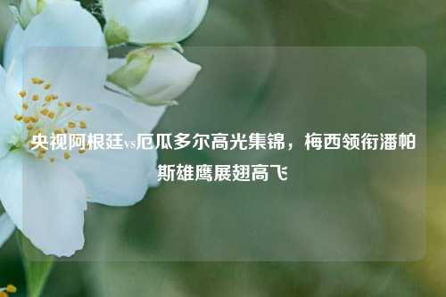 央视阿根廷vs厄瓜多尔高光集锦,梅西领衔潘帕斯雄鹰展翅高飞