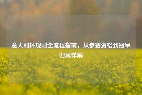 意大利杯规则全流程指南,从参赛资格到冠军归属详解