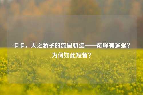 卡卡,天之骄子的流星轨迹——巅峰有多强?为何如此短暂?