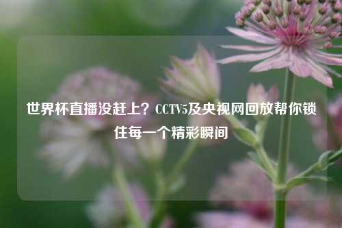 世界杯直播没赶上?CCTV5及央视网回放帮你锁住每一个精彩瞬间