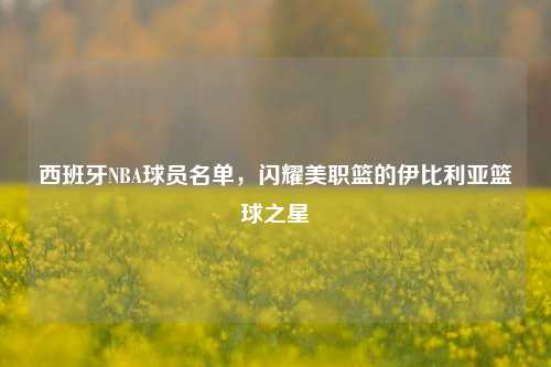 西班牙NBA球员名单,闪耀美职篮的伊比利亚篮球之星