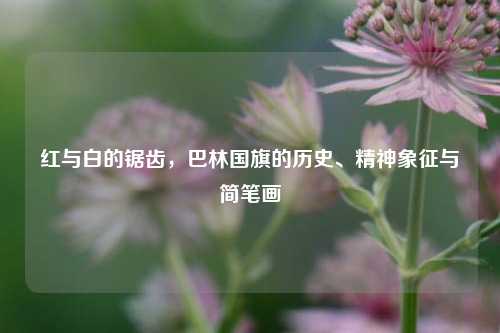 红与白的锯齿,巴林国旗的历史、精神象征与简笔画