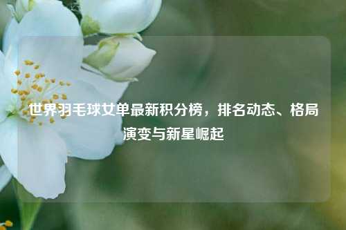 世界羽毛球女单最新积分榜,排名动态、格局演变与新星崛起