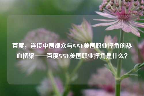 百度,连接中国观众与WWE美国职业摔角的热血桥梁——百度WWE美国职业摔角是什么?