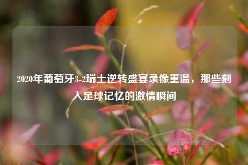 2020年葡萄牙3-2瑞士逆转盛宴录像重温,那些刻入足球记忆的 瞬间