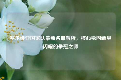 塞尔维亚国家队最新名单解析,核心稳固新星闪耀的争冠之师