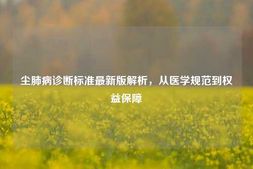 尘肺病诊断标准最新版解析,从医学规范到权益保障
