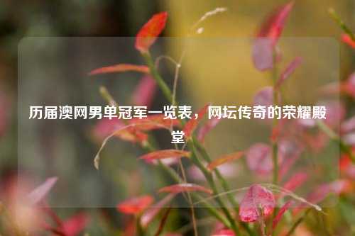历届澳网男单冠军一览表,网坛传奇的荣耀殿堂