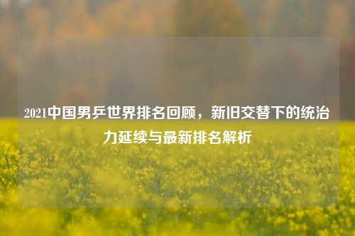 2021中国男乒世界排名回顾,新旧交替下的统治力延续与最新排名解析