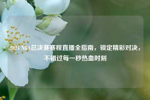 2024 NBA总决赛赛程直播全指南,锁定精彩对决,不错过每一秒热血时刻