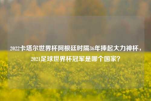 2022卡塔尔世界杯阿根廷时隔36年捧起大力神杯,2021足球世界杯冠军是哪个国家?