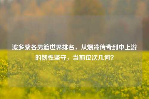 波多黎各男篮世界排名,从爆冷传奇到中上游的韧性坚守,当前位次几何?
