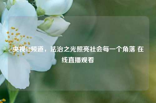 央视12频道,法治之光照亮社会每一个角落 在线直播观看