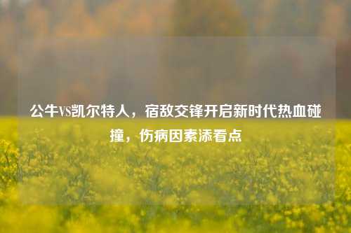 公牛VS凯尔特人,宿敌交锋开启新时代热血碰撞,伤病因素添看点