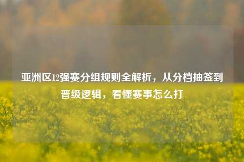 亚洲区12强赛分组规则全解析,从分档抽签到晋级逻辑,看懂赛事怎么打