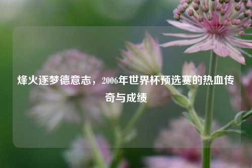 烽火逐梦德意志,2006年世界杯预选赛的热血传奇与成绩
