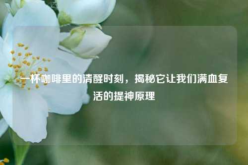 一杯咖啡里的清醒时刻,揭秘它让我们满血复活的提神原理