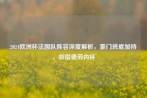 2024欧洲杯法国队阵容深度解析,豪门班底加持,剑指德劳内杯