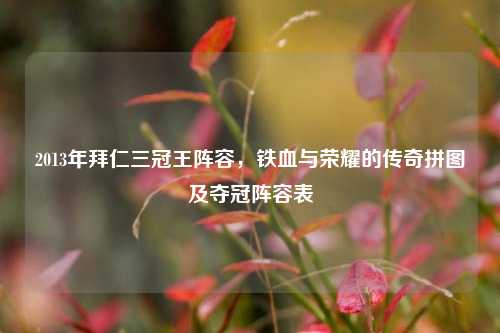 2013年拜仁三冠王阵容,铁血与荣耀的传奇拼图及夺冠阵容表