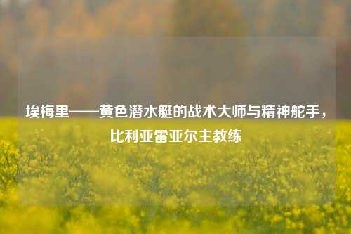 埃梅里——黄色潜水艇的战术大师与精神舵手,比利亚雷亚尔主教练