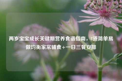 两岁宝宝成长关键期营养食谱指南,8道简单易做均衡家常辅食+一日三餐安排