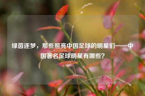 绿茵逐梦,那些照亮中国足球的明星们——中国著名足球明星有哪些?