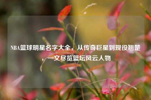 NBA篮球明星名字大全,从传奇巨星到现役翘楚,一文尽览篮坛风云人物