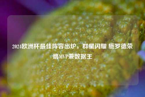 2024欧洲杯更佳阵容出炉,群星闪耀 施罗德荣膺MVP兼数据王