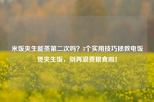 米饭夹生能蒸第二次吗?3个实用技巧拯救电饭煲夹生饭,别再浪费粮食啦!