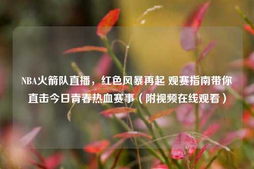 NBA火箭队直播,红色风暴再起 观赛指南带你直击今日青春热血赛事(附视频在线观看)