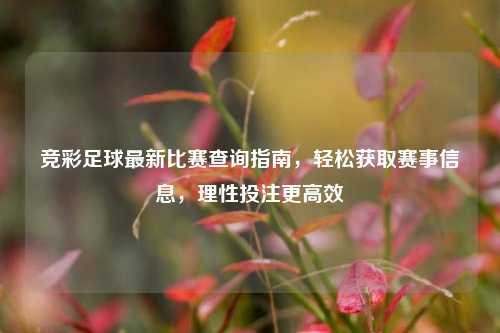 竞彩足球最新比赛查询指南,轻松获取赛事信息,理性投注更高效