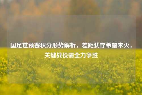 国足世预赛积分形势解析,差距犹存希望未灭,关键战役需全力争胜