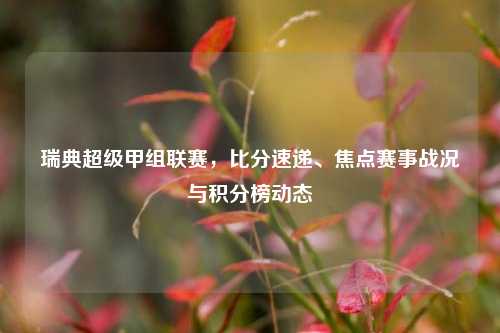 瑞典超级甲组联赛,比分速递、焦点赛事战况与积分榜动态