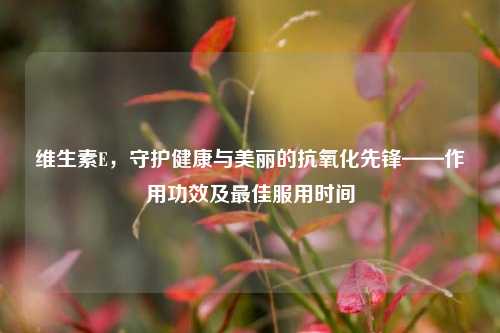 维生素E,守护健康与美丽的抗氧化先锋——作用功效及更佳服用时间