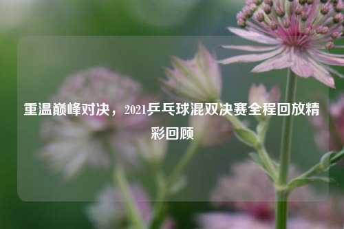 重温巅峰对决,2021乒乓球混双决赛全程回放精彩回顾