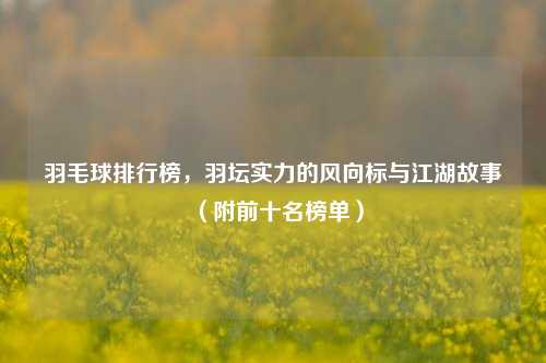 羽毛球排行榜,羽坛实力的风向标与江湖故事(附前十名榜单)