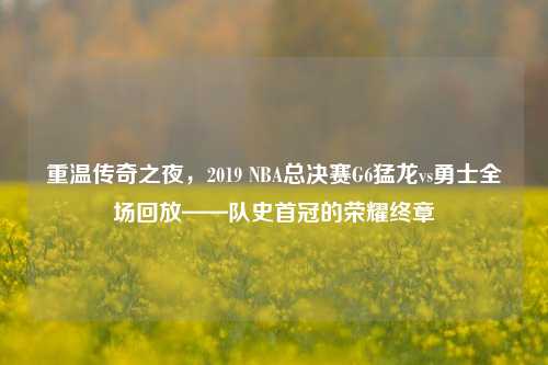 重温传奇之夜,2019 NBA总决赛G6猛龙vs勇士全场回放——队史首冠的荣耀终章