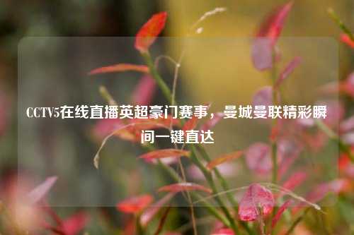 CCTV5在线直播英超豪门赛事,曼城曼联精彩瞬间一键直达