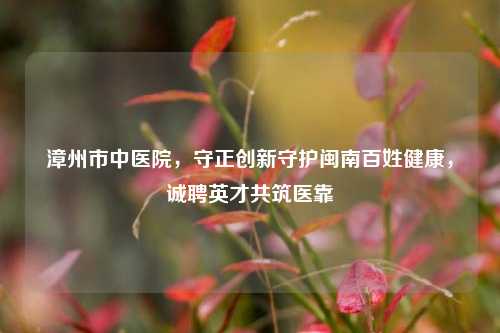 漳州市中医院,守正创新守护闽南百姓健康,诚聘英才共筑医靠