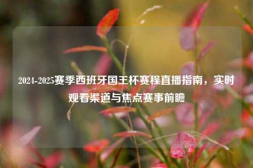 2024-2025赛季西班牙国王杯赛程直播指南,实时观看渠道与焦点赛事前瞻