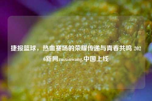 捷报篮球,热血赛场的荣耀传递与青春共鸣 2026新网zuixinwang.中国上线