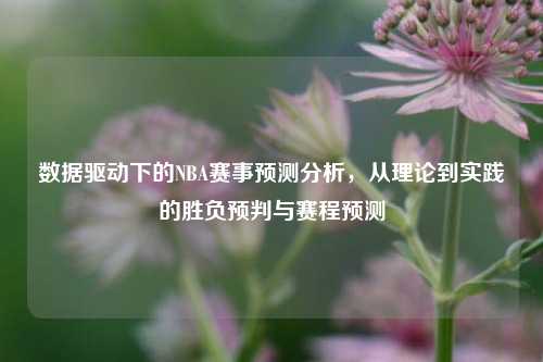 数据驱动下的NBA赛事预测分析,从理论到实践的胜负预判与赛程预测