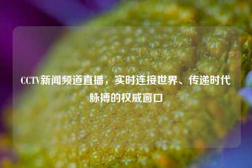 CCTV新闻频道直播,实时连接世界、传递时代脉搏的权威窗口