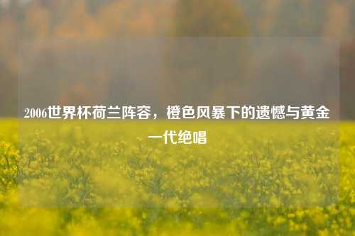 2006世界杯荷兰阵容,橙色风暴下的遗憾与黄金一代绝唱