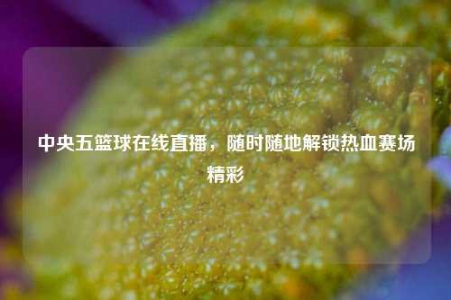中央五篮球在线直播,随时随地解锁热血赛场精彩