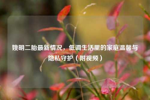 姚明二胎最新情况,低调生活里的家庭温馨与隐私守护(附视频)